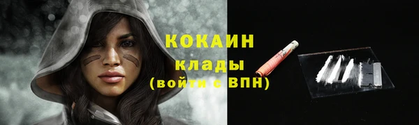 стаф Протвино