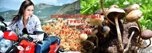 амфетамин Богданович