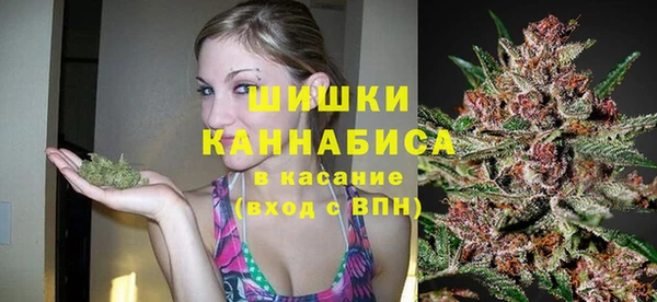 Альфа ПВП Богородицк