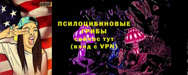 Альфа ПВП Богородицк
